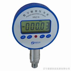 “大庆布莱迪数字压力表“/