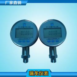 “青岛加氟数字复合压力表“/