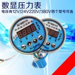 “绍兴普传求数字压力表“/