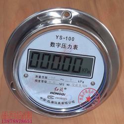“湘潭数字压力表掉压“/