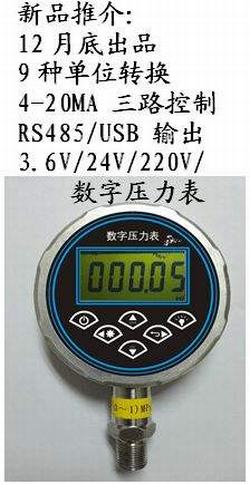 “上海数显压力表