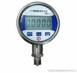 “合肥精密数字压力表xy-100“/