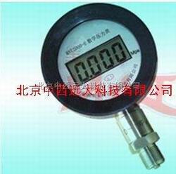 “长春耐高温型数字压力表“/